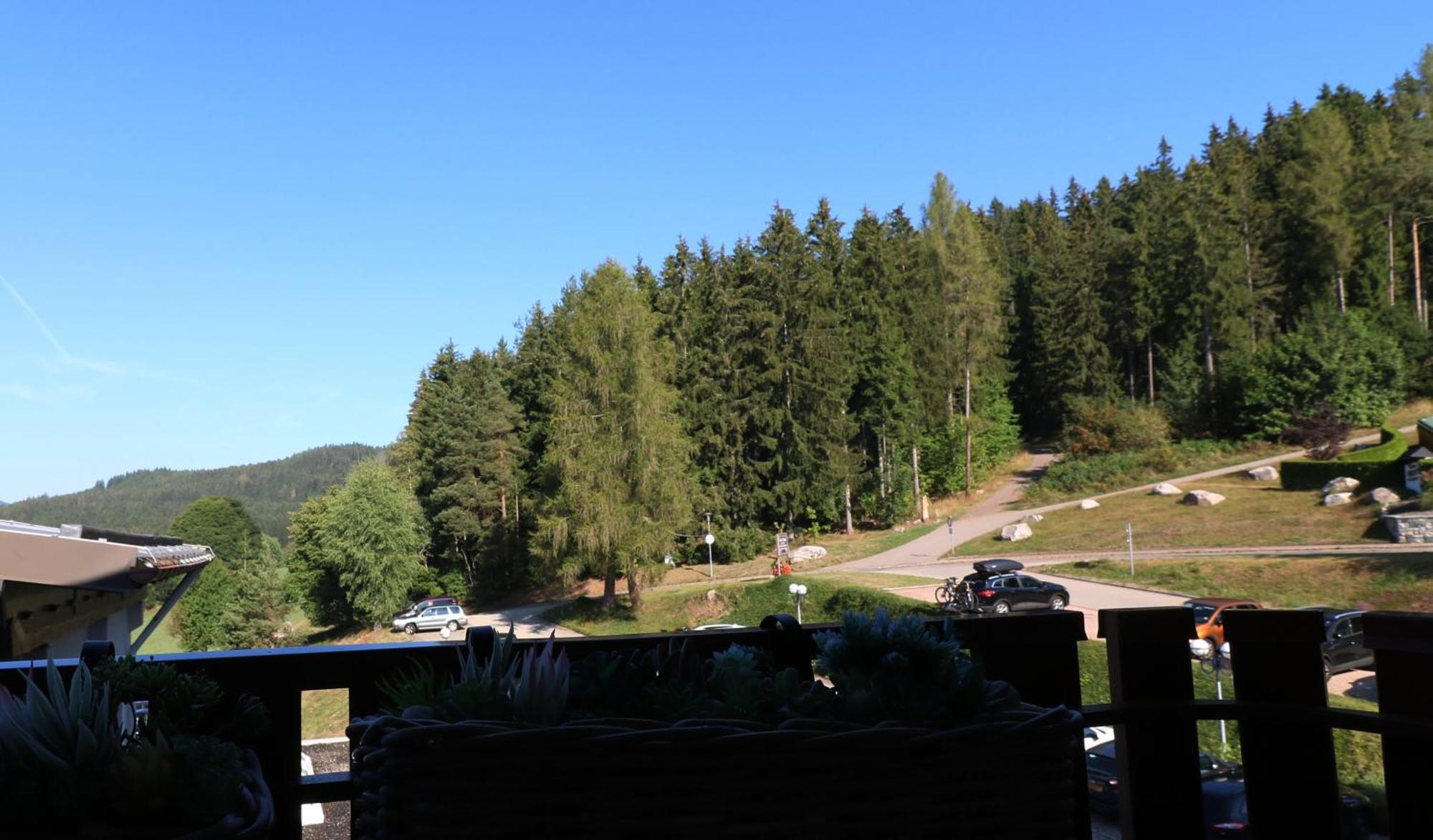 Kurhotel Schluchsee App 24011 - Waldblick - Indoorpool, Шлухзее Экстерьер фото